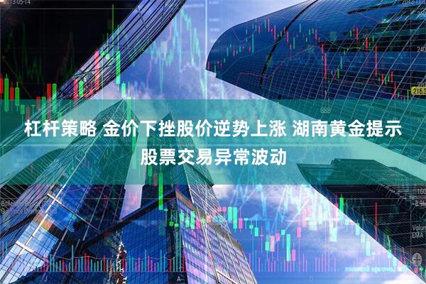 杠杆策略 金价下挫股价逆势上涨 湖南黄金提示股票交易异常波动